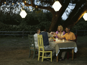 Enjoying dinner outdoors under a tree with low voltage lighting to set the mood